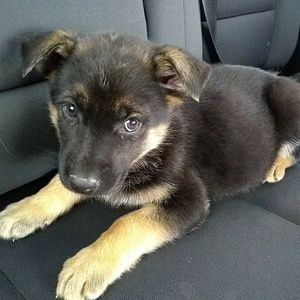 Meet your Posher, Mckenna